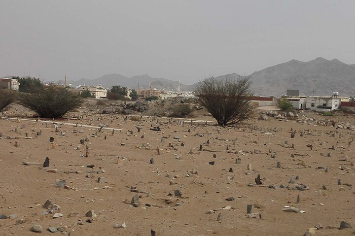 Full Day Badr Tour with Lunch from Medina