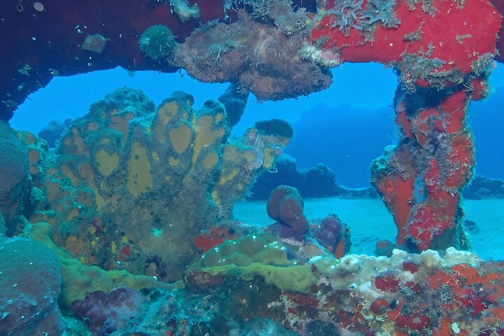 Anguilla Based:Scheduled 2-Tank Dive (Certified Divers)