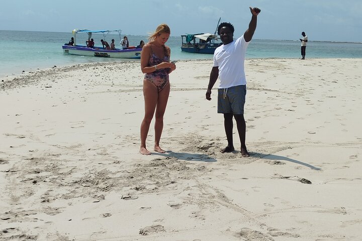 Kisite Mpunguti Marine Park Full Day Excursion