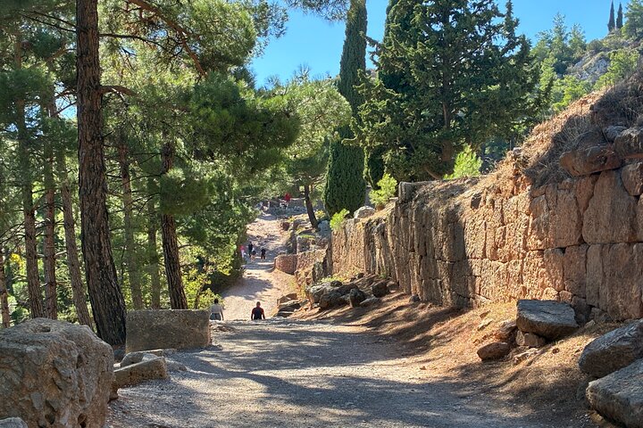Delphi Skip-The-Line Private Tour with Licensed Guide & Admission