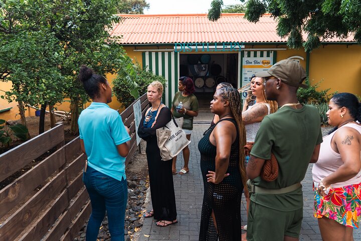 Taste of Curaçao: City Tour, Chobolobo & Mambo Beach