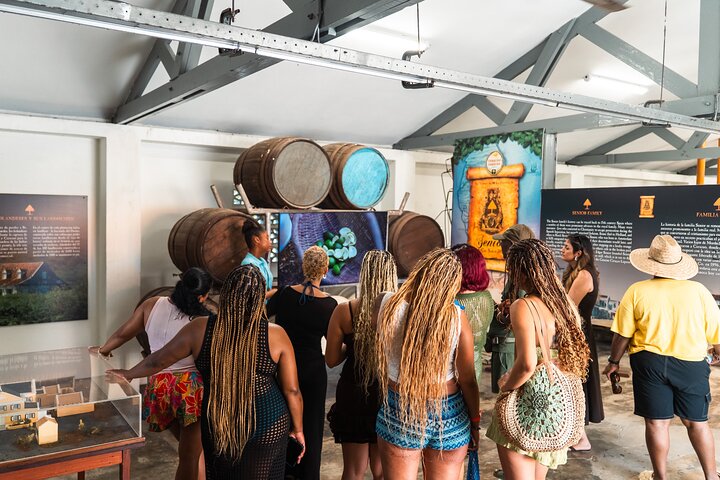 Taste of Curaçao: City Tour, Chobolobo & Mambo Beach