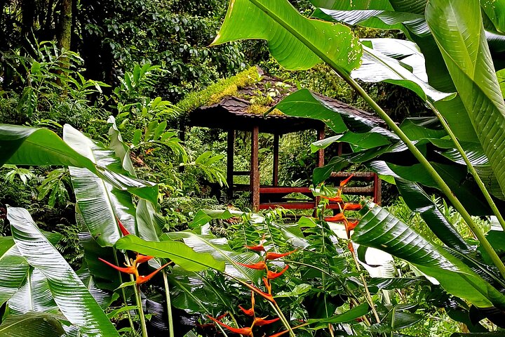Tour to discover the lush North and waterfalls