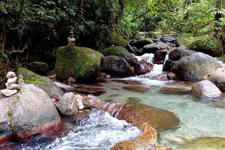 Tour to discover the lush North and waterfalls