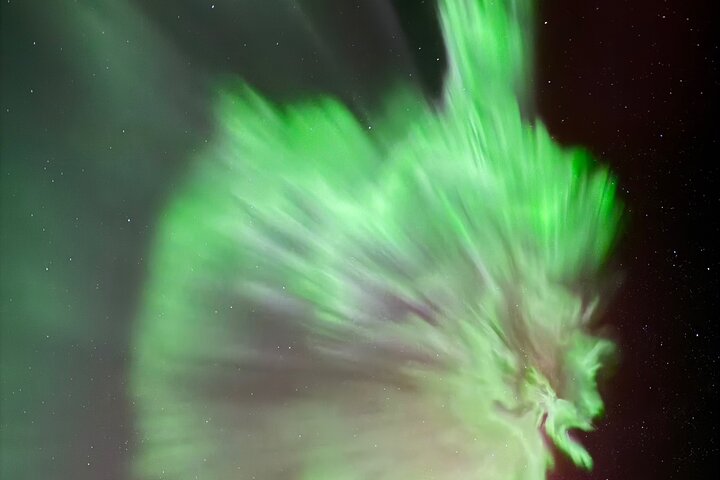 Yellowknife Aurora Hunting Tours by Bus