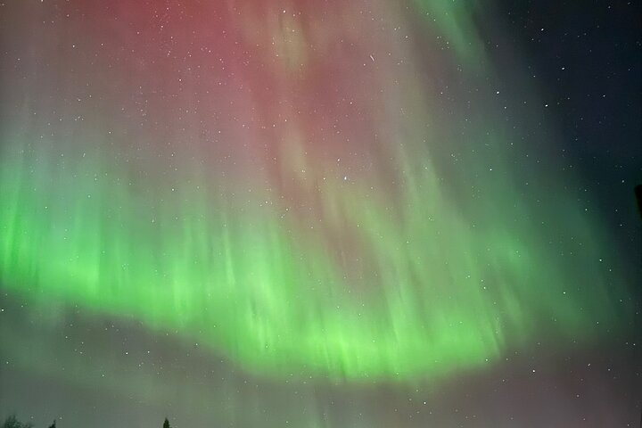 Yellowknife Aurora Hunting Tours by Bus