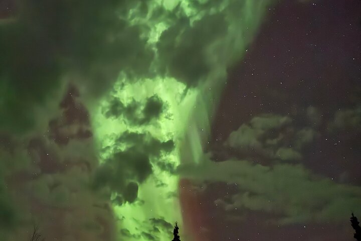Yellowknife Aurora Hunting Tours by Bus