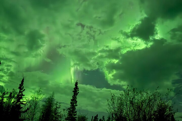 Yellowknife Aurora Hunting Tours by Bus
