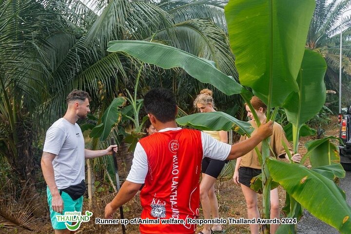 Khao Lak Ethical Elephant Sanctuary Full-Day Small Group Tour