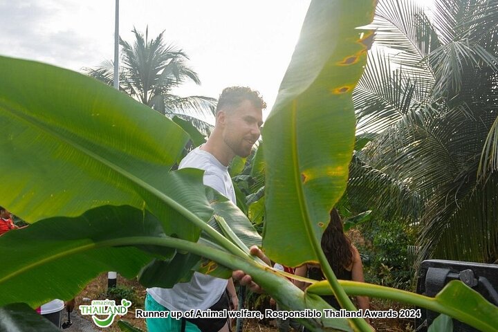 Khao Lak Ethical Elephant Sanctuary Full-Day Small Group Tour
