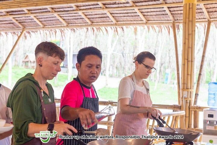 Khao Lak Ethical Elephant Sanctuary Full-Day Small Group Tour