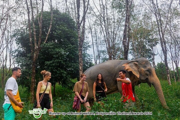 Khao Lak Ethical Elephant Sanctuary Full-Day Small Group Tour