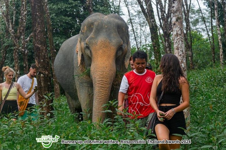 Khao Lak Ethical Elephant Sanctuary Full-Day Small Group Tour