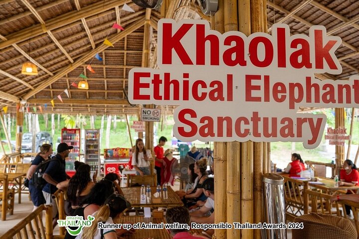 Khao Lak Ethical Elephant Sanctuary Full-Day Small Group Tour