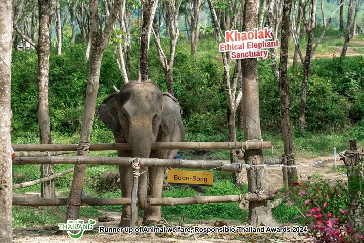 Khao Lak Ethical Elephant Sanctuary Full-Day Small Group Tour