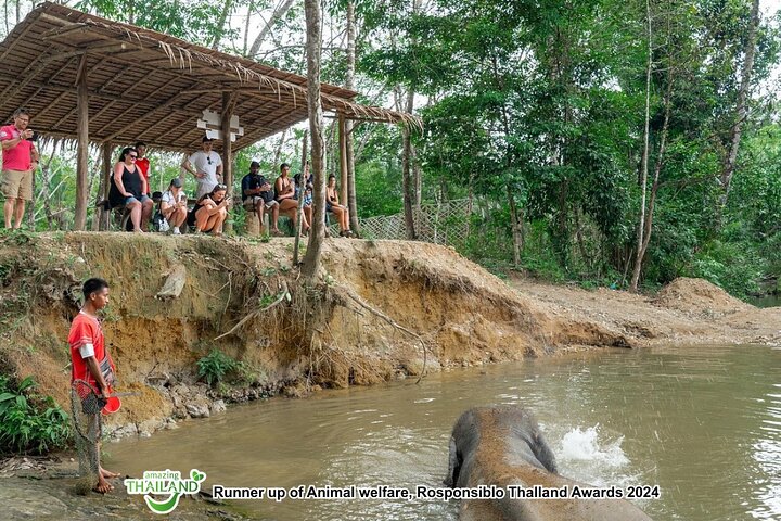 Khao Lak Ethical Elephant Sanctuary Full-Day Small Group Tour