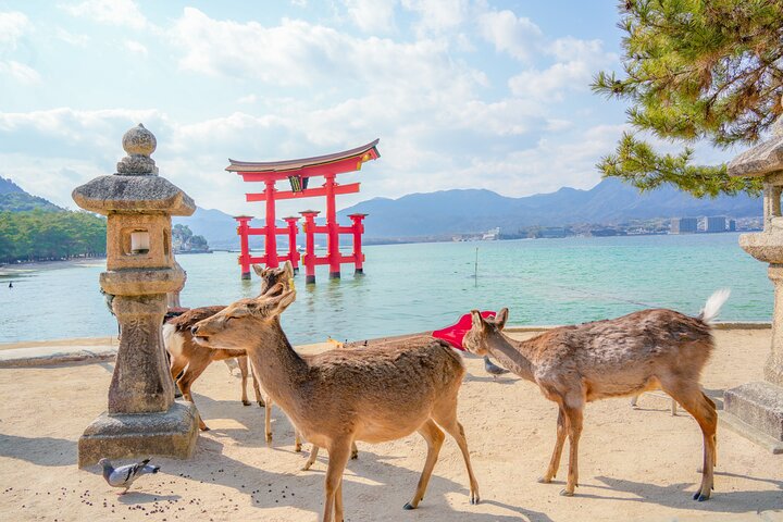 Hiroshima and Miyajima Full-Day Tour from Kyoto by Bullet Train