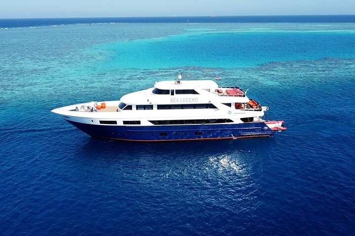 Dolphin House Sataya Reef Snorkeling Cruise from Marsa Alam