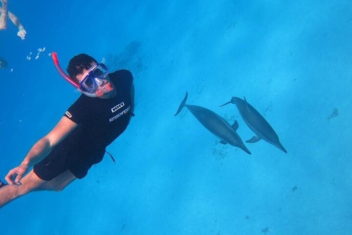 Dolphin House Sataya Reef Snorkeling Cruise from Marsa Alam