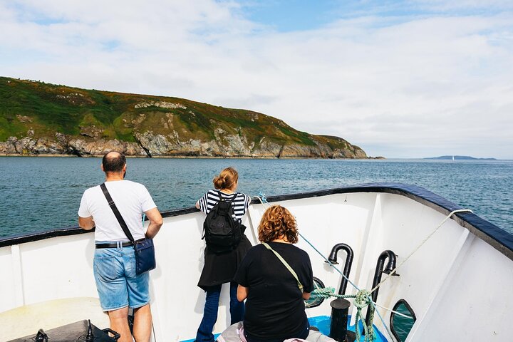 Ireland's Eye and Howth Coastal Boat Tour