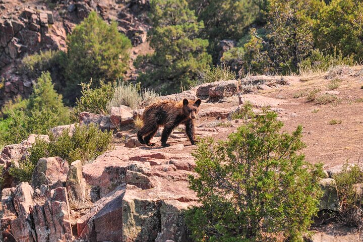 Upper Colorado River Half-Day Float Trip near Kremmling