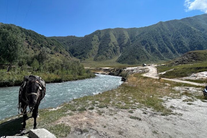 From Kazbegi to Truso Valley Trek with Hotel Transfers