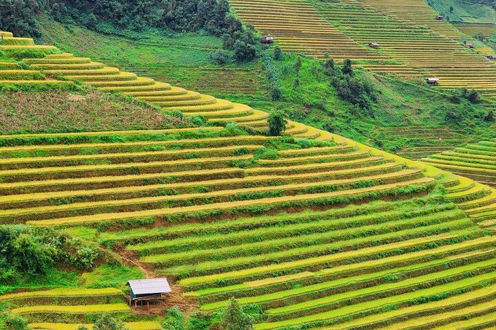2 Days Motorbike Tour from Mu Cang Chai to Sapa