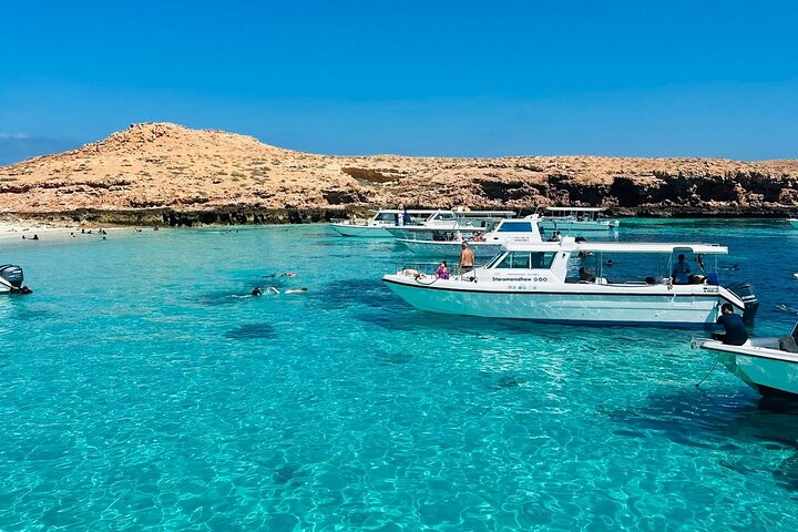 Daymaniyat Island Snorkeling with picnic lunch