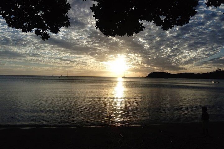 Hop-On Hop-Off / HOHO / All Day Pass (return ticket's) with LYVAI