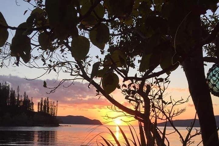 Aquarium Package in Nouméa's with Admission + HOHO with LYVAI