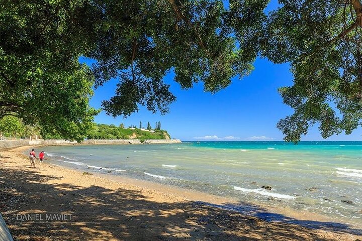 Aquarium Package in Nouméa's with Admission + HOHO with LYVAI