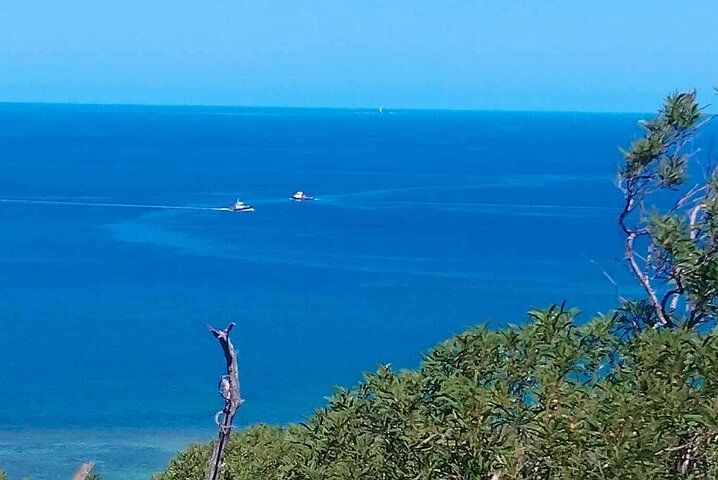 FAMOUS Local Green Train Noumea (01h30) with LYVAI