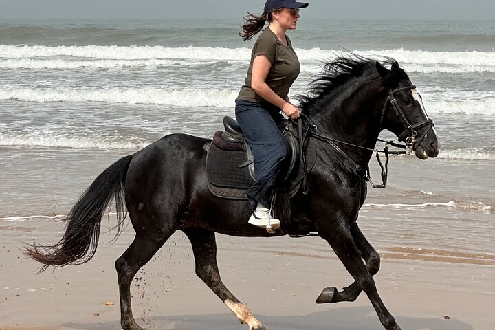 Horseback Riding in Essaouira - Essaouira HorseRiding