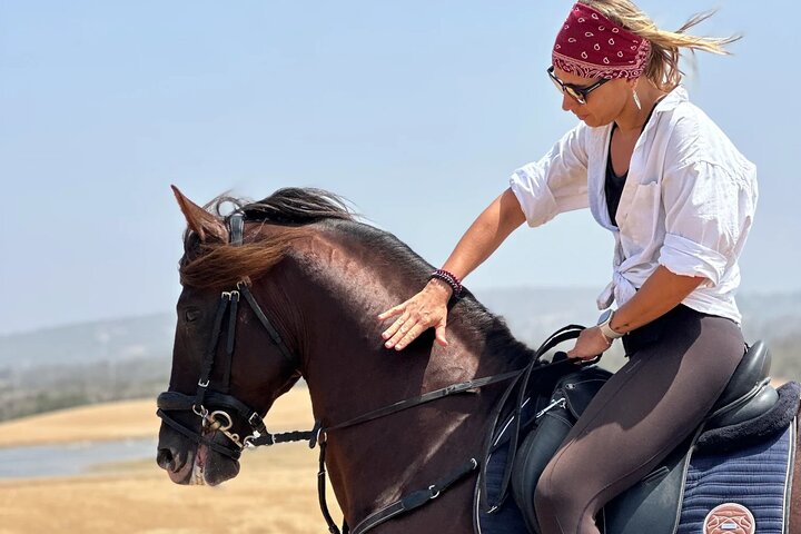 Horseback Riding in Essaouira - Essaouira HorseRiding