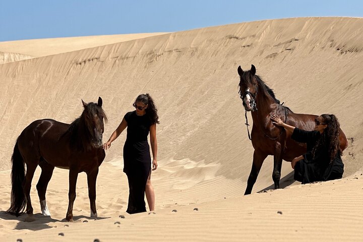 Horseback Riding in Essaouira - Essaouira HorseRiding