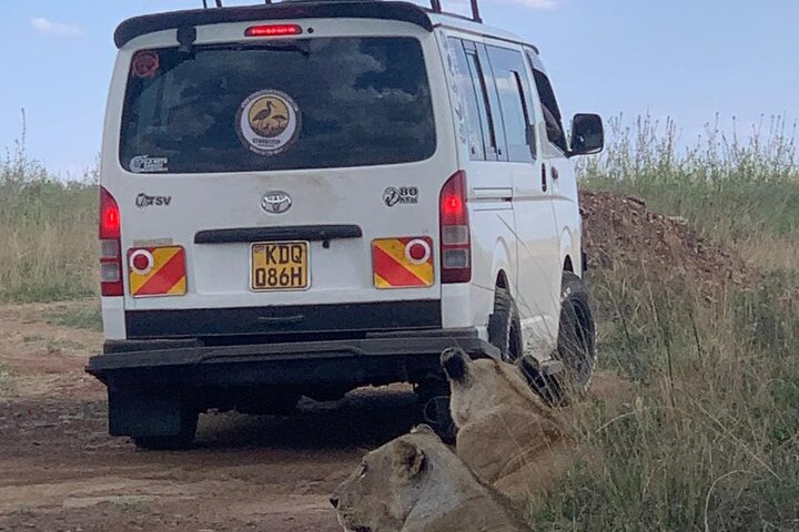 Nairobi National Park Half-Day Safari in a 4x4 Vehicle