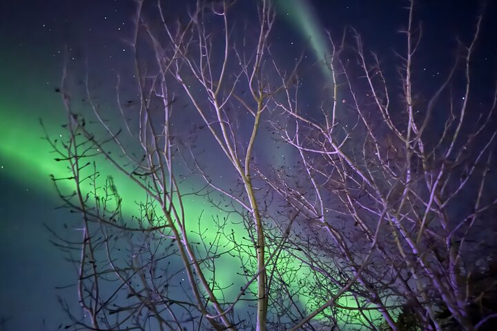 Aurora Hunting Tour in Yellowknife — Shared Bus