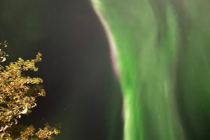 Aurora Hunting Tour in Yellowknife — Shared Bus