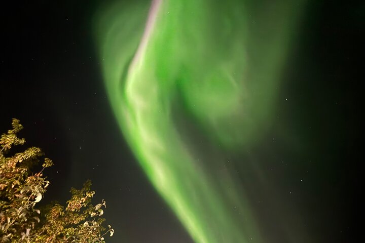 Aurora Hunting Tour in Yellowknife — Shared Bus