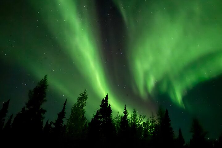 Aurora Hunting Tour in Yellowknife — Shared Bus