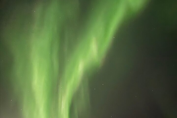 Aurora Hunting Tour in Yellowknife — Shared Bus