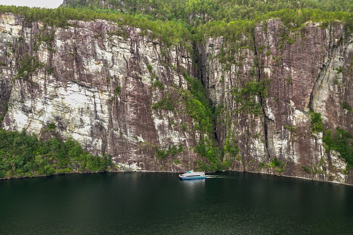 Bergen: Half-day fjord cruise to Mostraumen