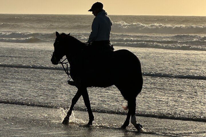 Horseback Riding in Essaouira - Essaouira HorseRiding