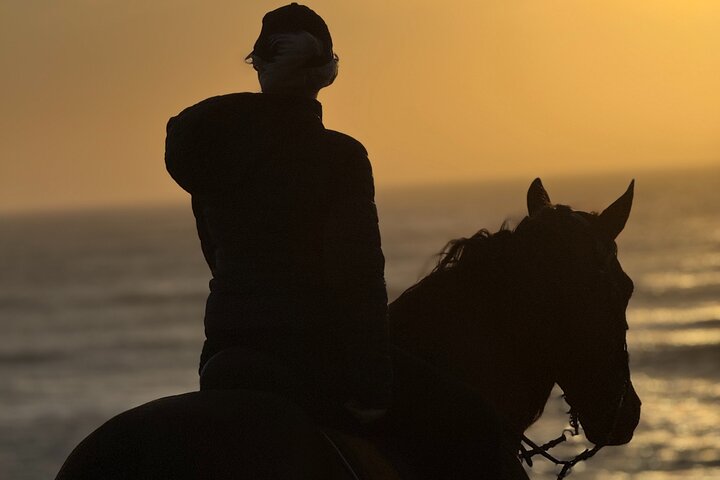 Horseback Riding in Essaouira - Essaouira HorseRiding