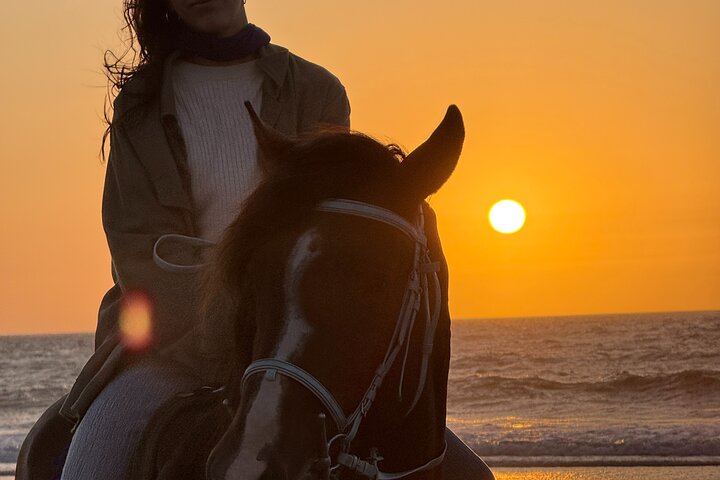 Horseback Riding in Essaouira - Essaouira HorseRiding