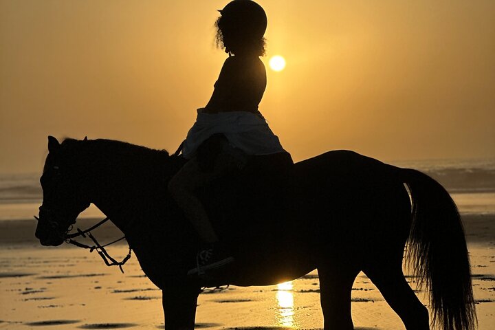 Horseback Riding in Essaouira - Essaouira HorseRiding