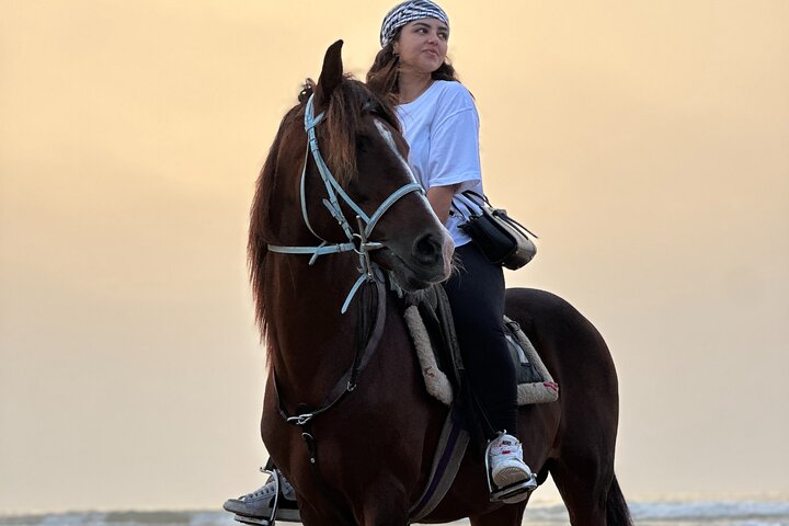 Horseback Riding in Essaouira - Essaouira HorseRiding