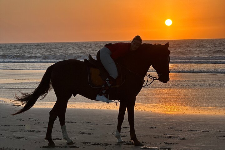 Horseback Riding in Essaouira - Essaouira HorseRiding