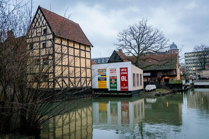 Aarhus Private Walking Tour Experience