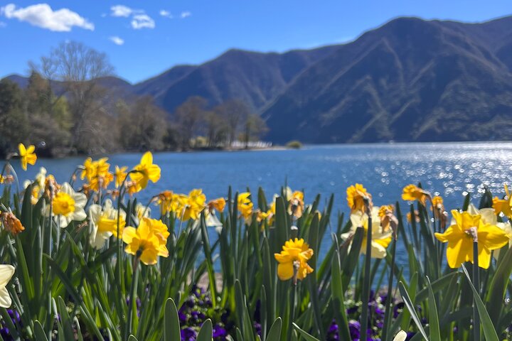 Lugano History & Culture 2 hours Walking Tour– Small Group